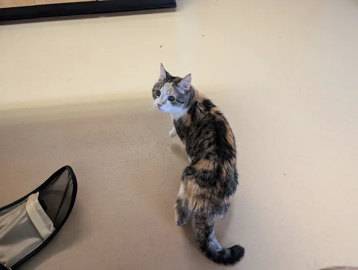 Baylis Animal Hospital 3