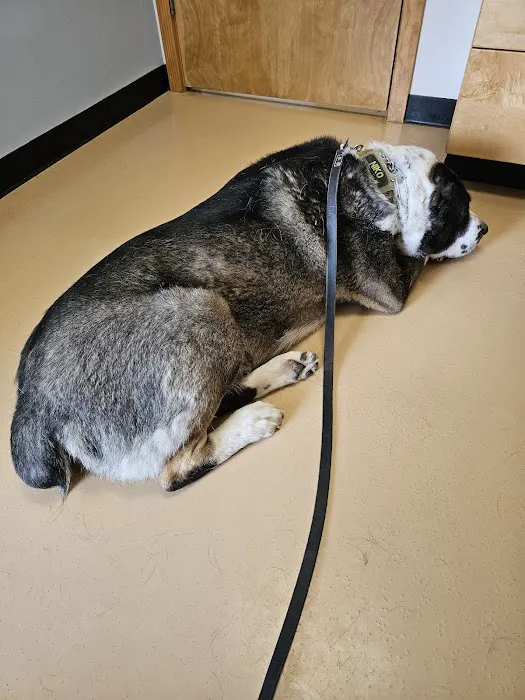 Baylis Animal Hospital 6