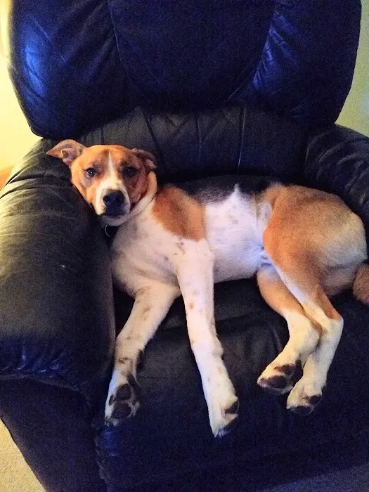 Ortonville Animal Hospital 6