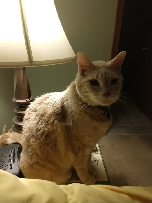 Ortonville Animal Hospital 5