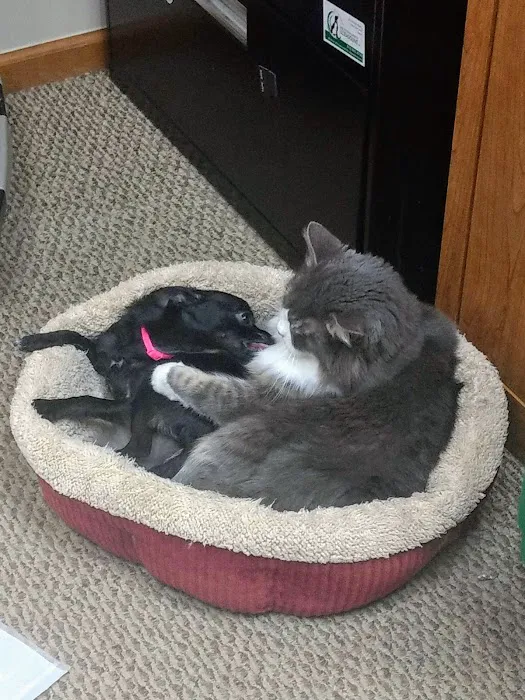 Ortonville Animal Hospital 9