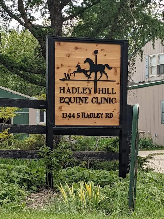 Hadley Hill Equine 1