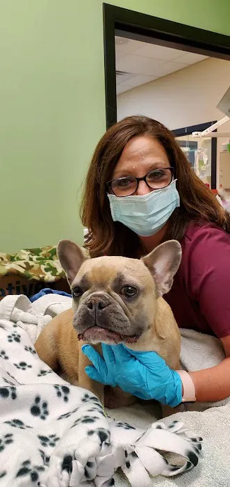 Animal Alley Veterinary Hospital 9