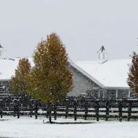 Saginaw Valley Equine Clinic ico