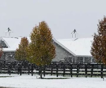 Saginaw Valley Equine Clinic