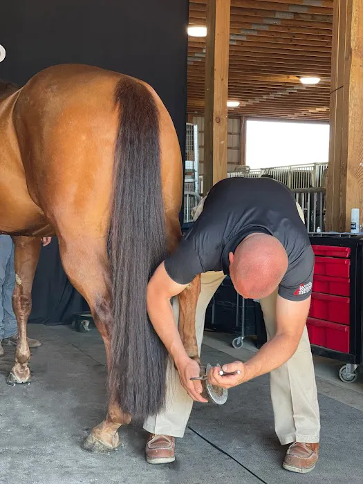 Saginaw Valley Equine Clinic 7