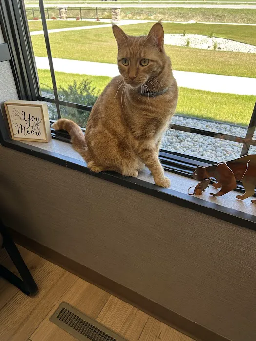 Gratiot Animal Hospital 7