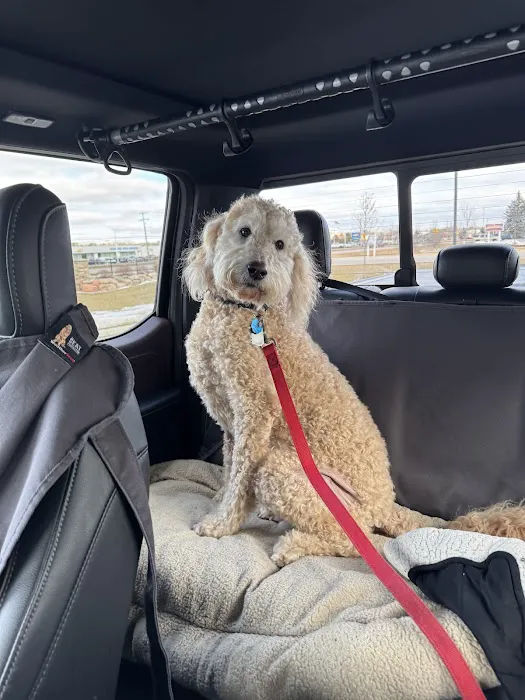 Gratiot Animal Hospital 4