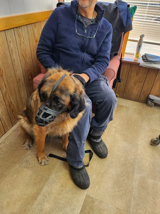 Almont-Dryden Veterinary Clinic 2
