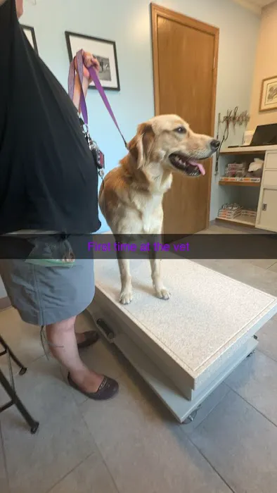 Almont-Dryden Veterinary Clinic 4