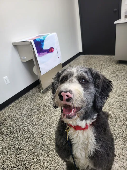 Lakeville Animal Clinic 3