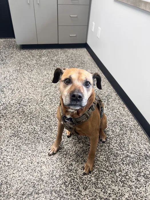 Lakeville Animal Clinic 2