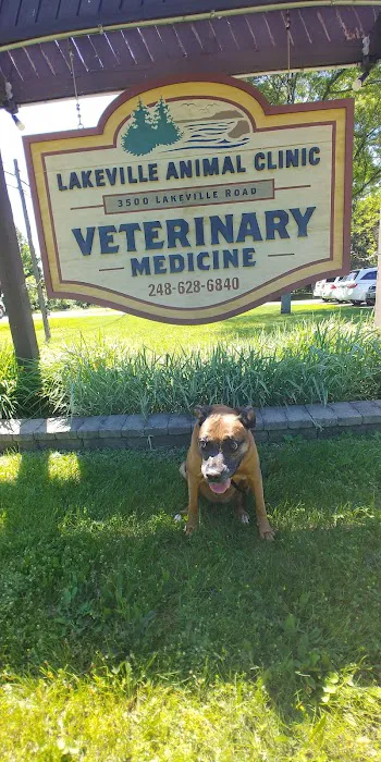 Lakeville Animal Clinic 6