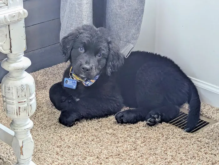 Lakeville Animal Clinic 8