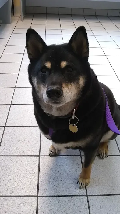 Yale Veterinary Hospital 3