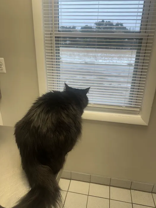 Yale Veterinary Hospital 9