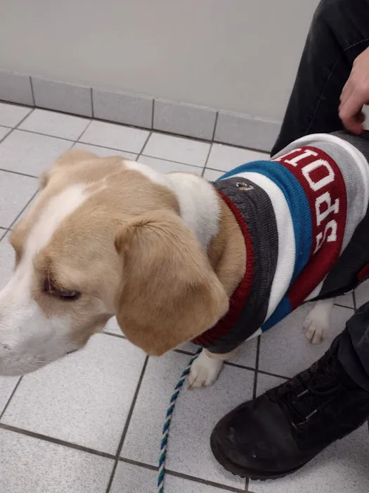 Yale Veterinary Hospital 10