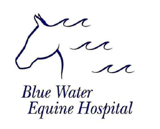 Blue Water Equine Hospital 5