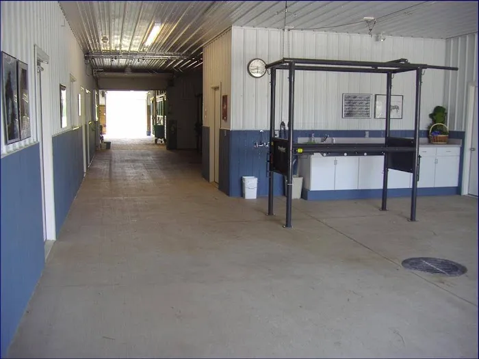 Blue Water Equine Hospital 2