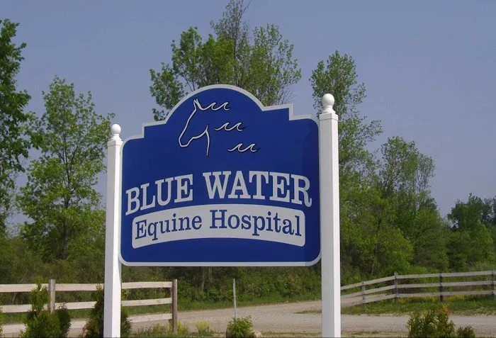 Blue Water Equine Hospital 3