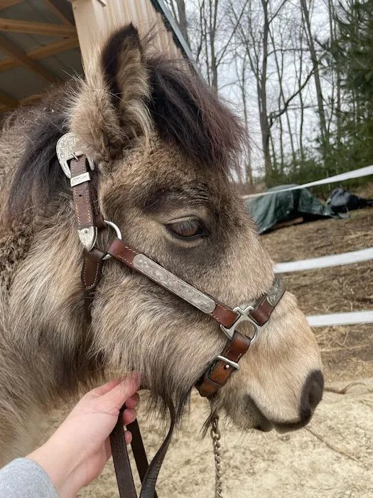 Blue Water Equine Hospital 6