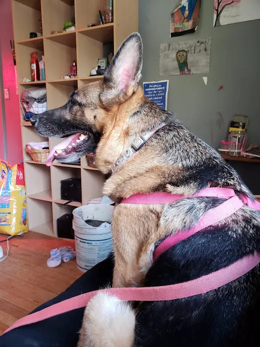 Geiger Veterinary Clinic 3