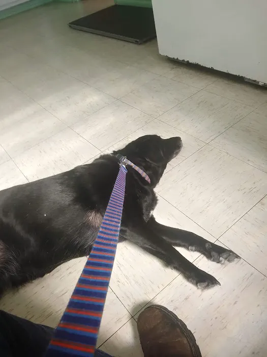 Geiger Veterinary Clinic 4
