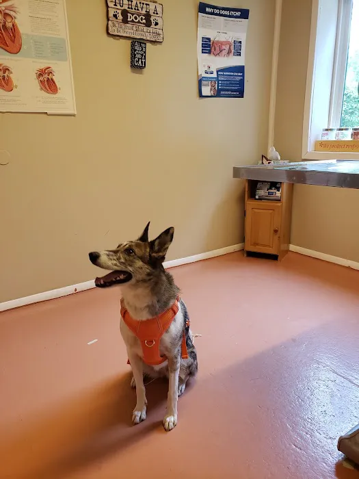 Burtchville Veterinary Clinic 3