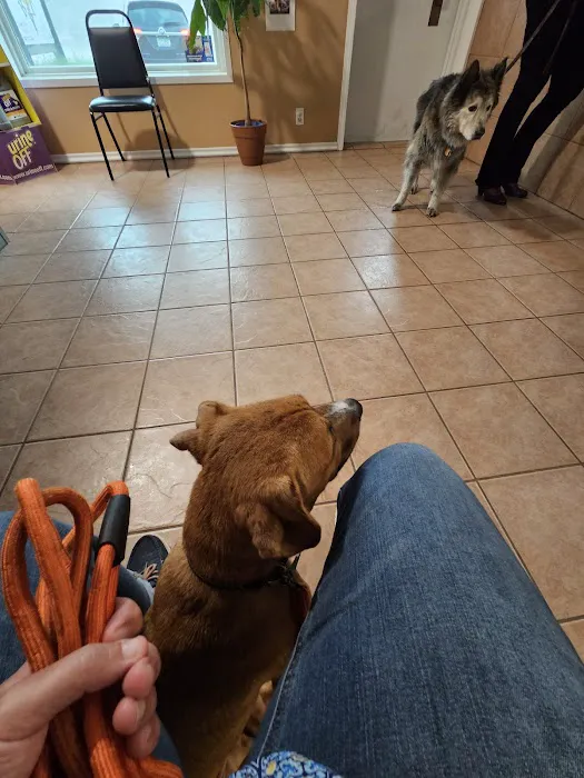 Burtchville Veterinary Clinic 9