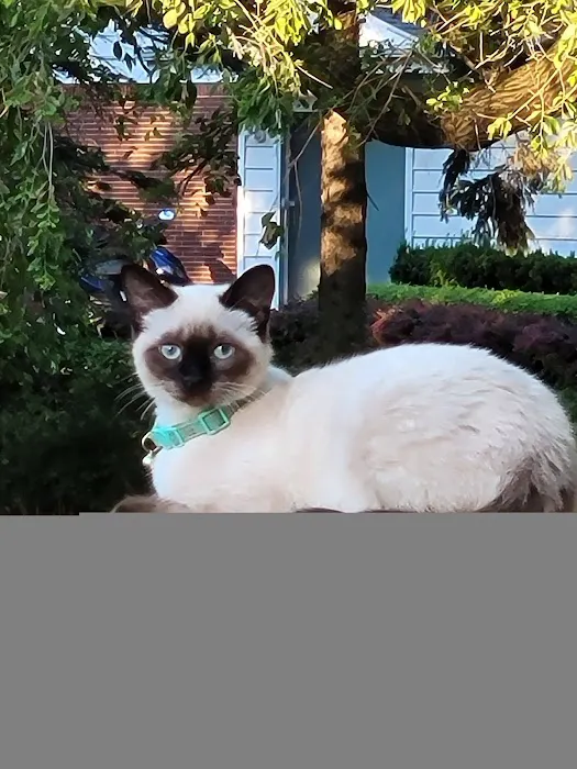 Burtchville Veterinary Clinic 7