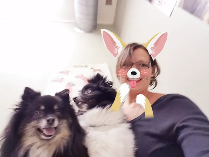 Animal Hospital of Lakeport 10