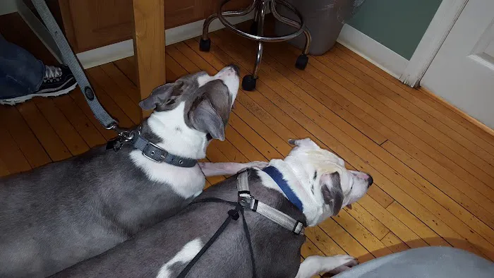 Frontier Veterinary Clinic 2