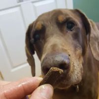 Frontier Veterinary Clinic ico