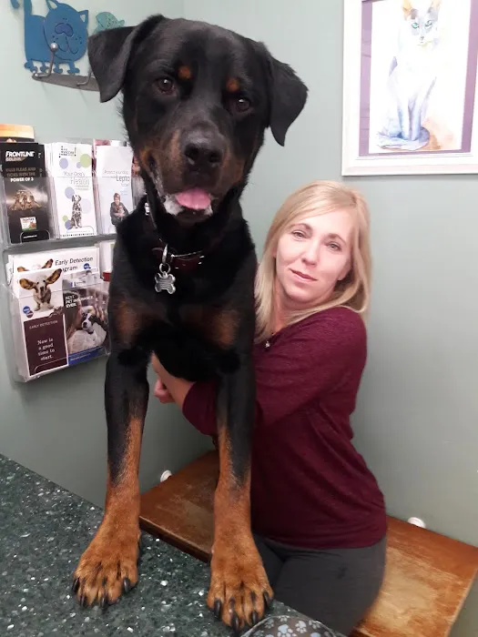 Frontier Veterinary Clinic 4