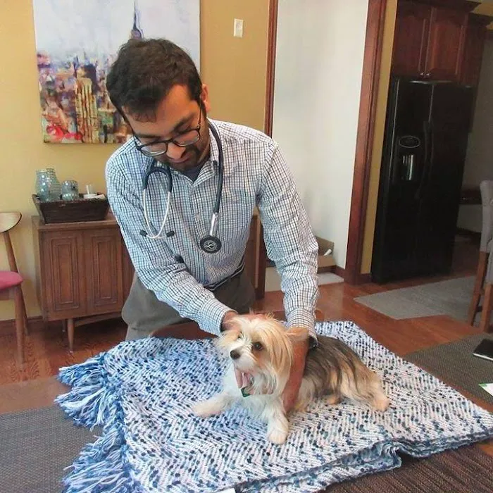 Personalized Veterinary : Behavior & Rehab 10