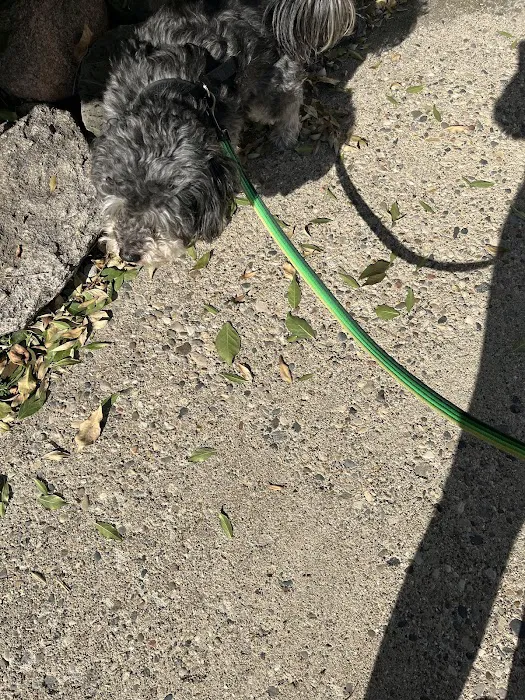 Holly Veterinary Hospital 6