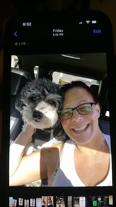 Holly Veterinary Hospital 5