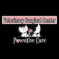Pawsitive Care Veterinary Surgical Center ico