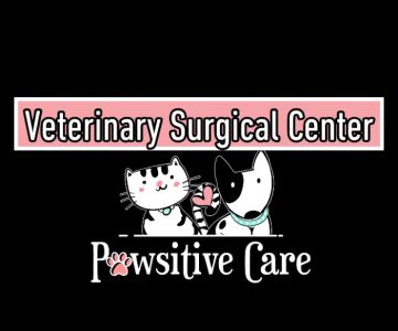 Pawsitive Care Veterinary Surgical Center