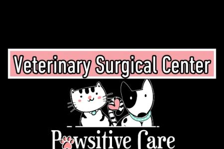 Pawsitive Care Veterinary Surgical Center