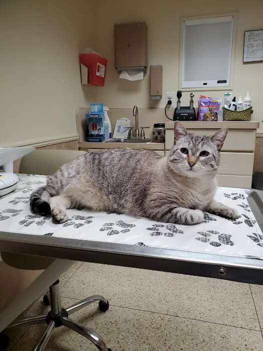 Fenton Veterinary Clinic LLC 1
