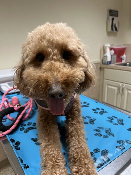 Fenton Veterinary Clinic LLC 8