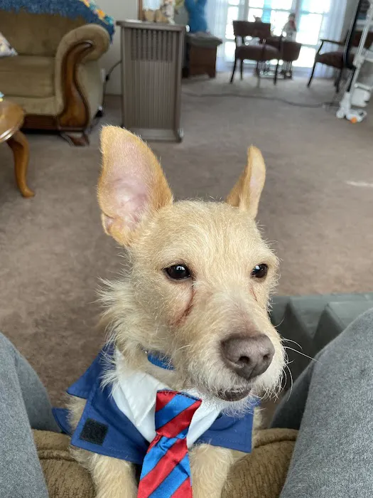 Fenton Veterinary Clinic LLC 9