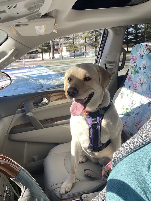 Fenton Veterinary Clinic LLC 10