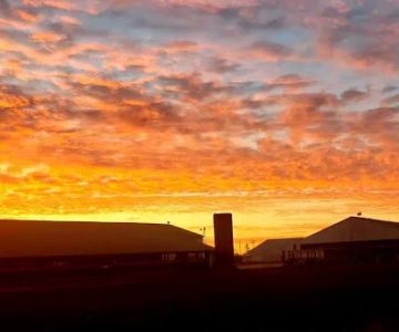Sterner Veterinary Livestock Professionals