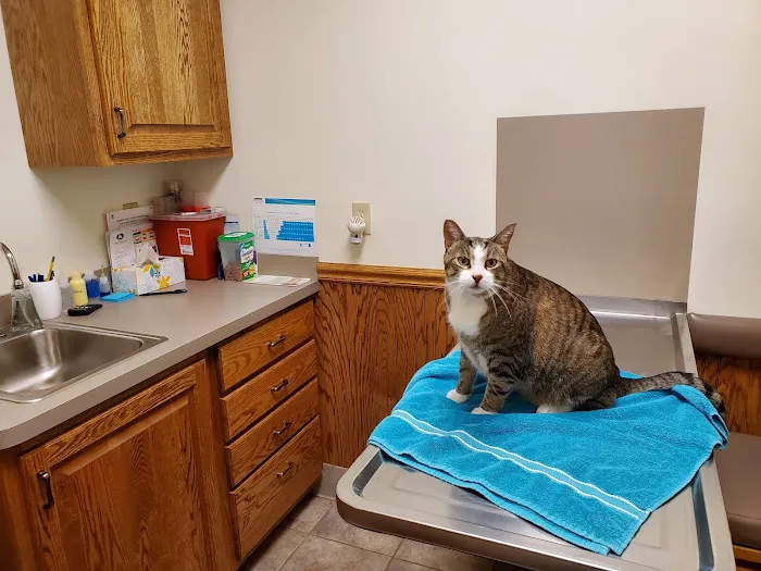 Portland Veterinary Service 9
