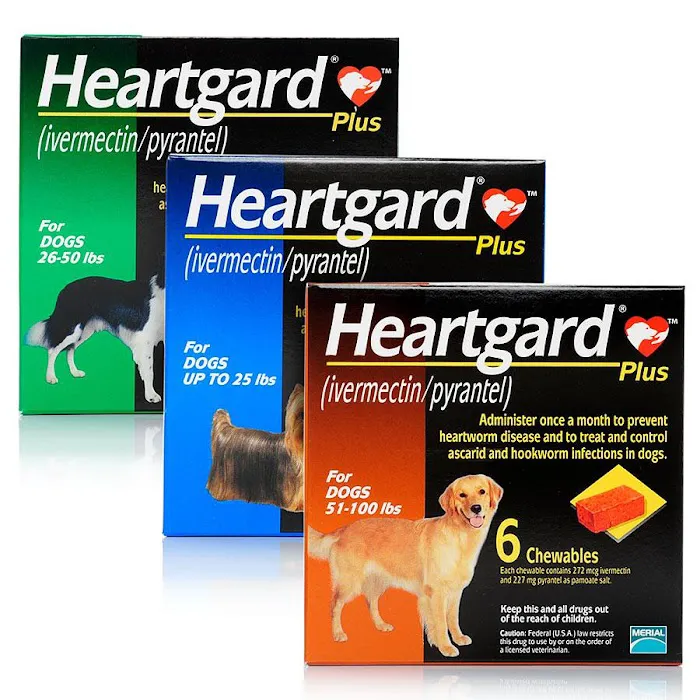Fowler Veterinary Service LLC 9