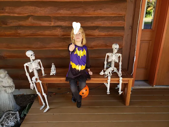 Log Cabin Animal Hospital 4