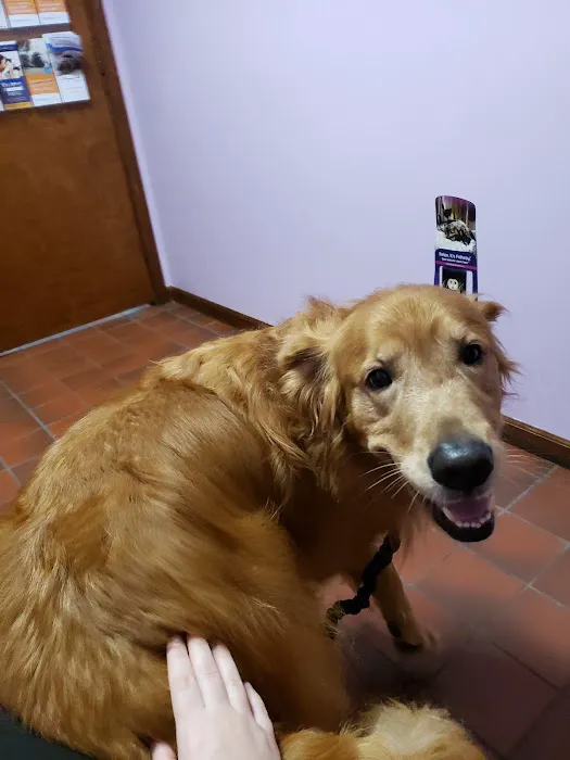 Log Cabin Animal Hospital 1