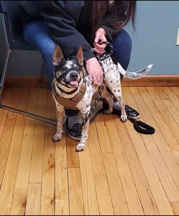 Kaspari Veterinary Clinic 6